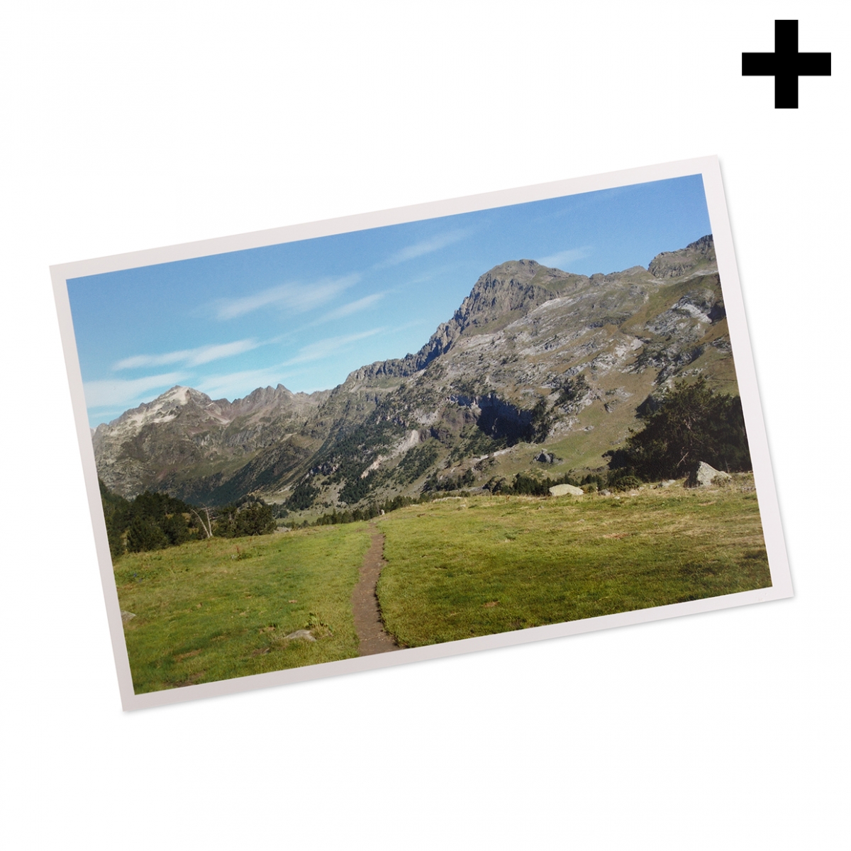 Imagen en la que se ve el plural del concepto fotografía