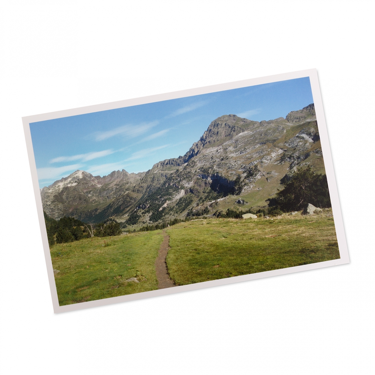 Imagen en la que se ve una fotografía