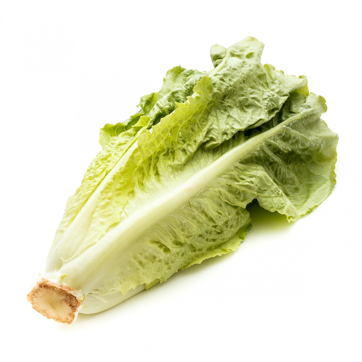 Imagen en la que se ve un cogollo de lechuga tumbado