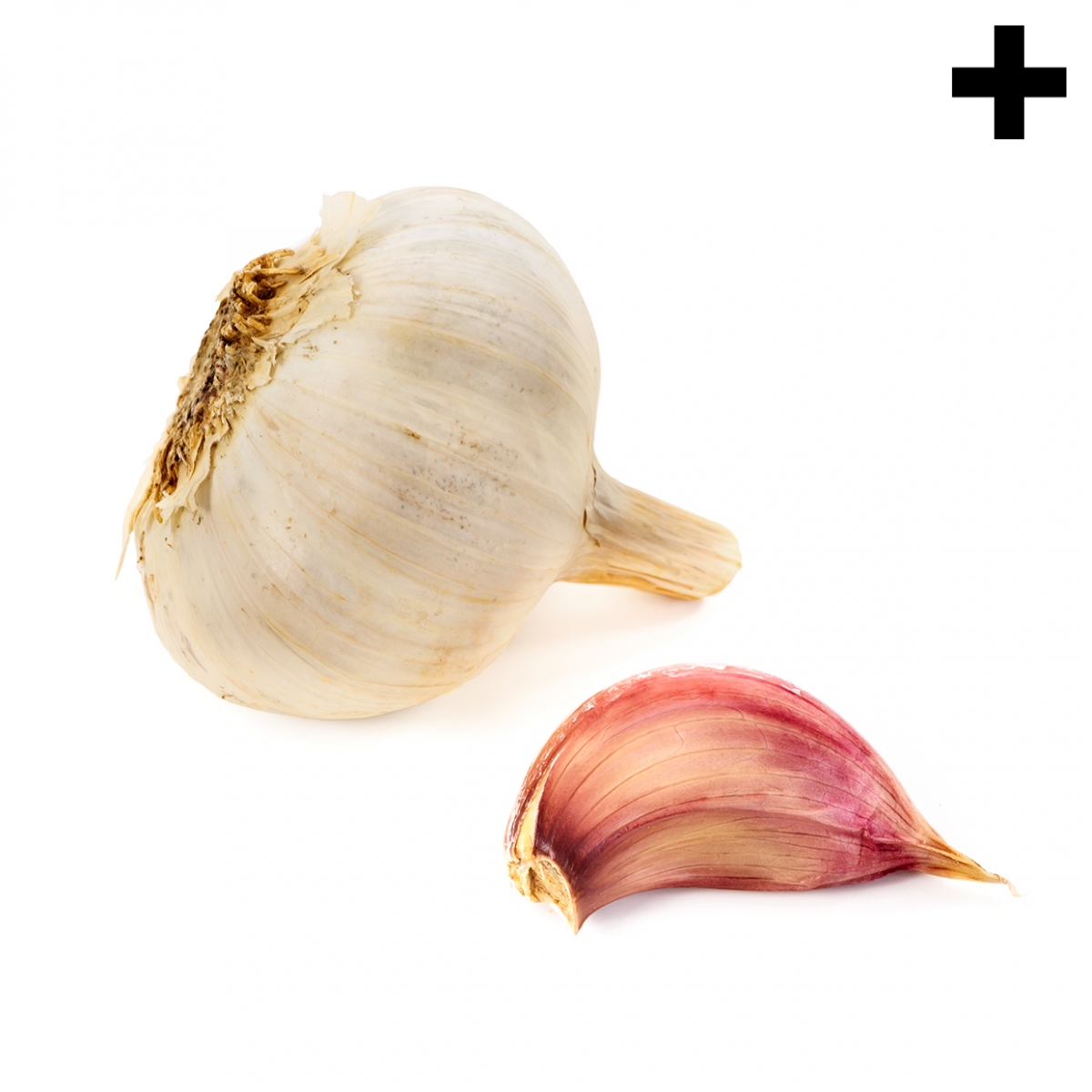 Imagen en la que se ve el plural del concepto ajo