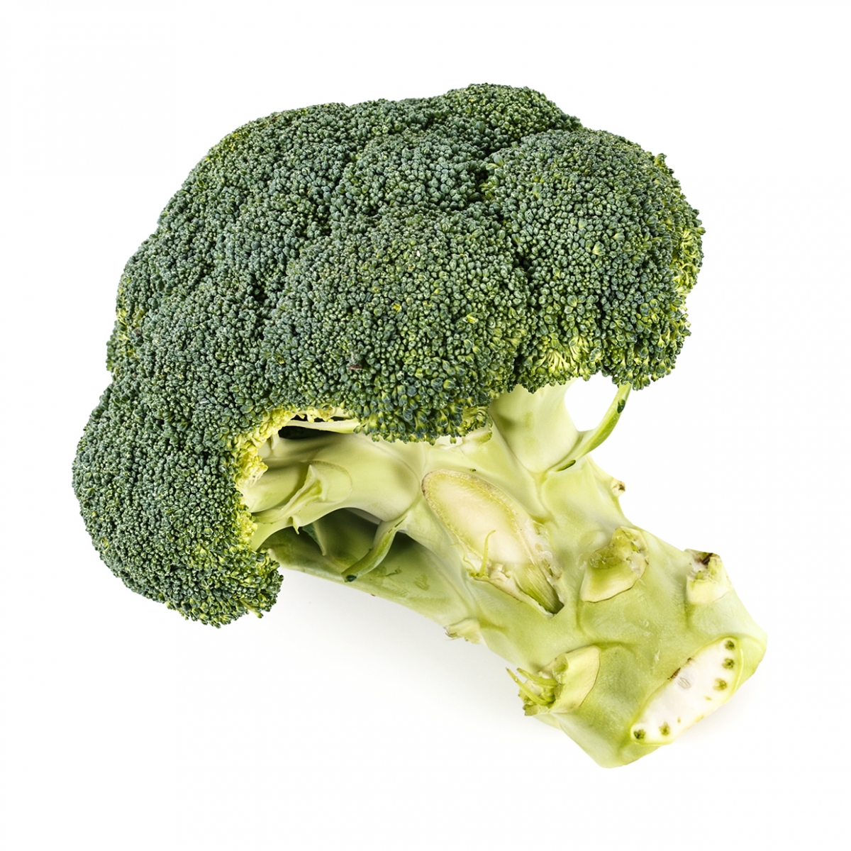 Imagen en la que se ve un brócoli