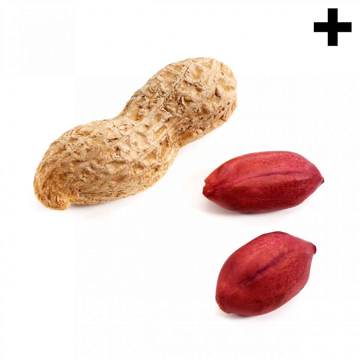 Imagen en la que se ve el plural del concepto cacahuete