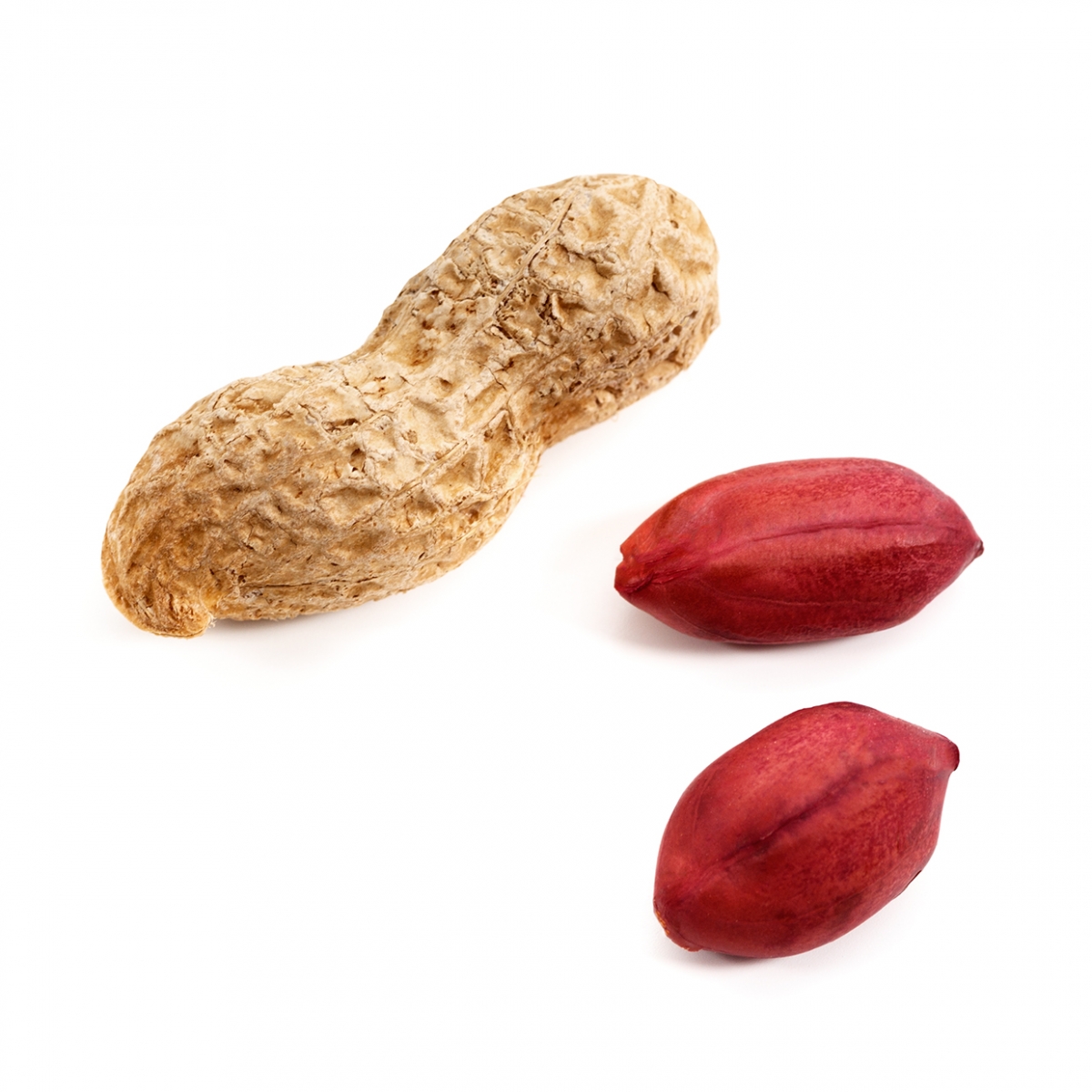 Imagen en la que se ve un cacahuete