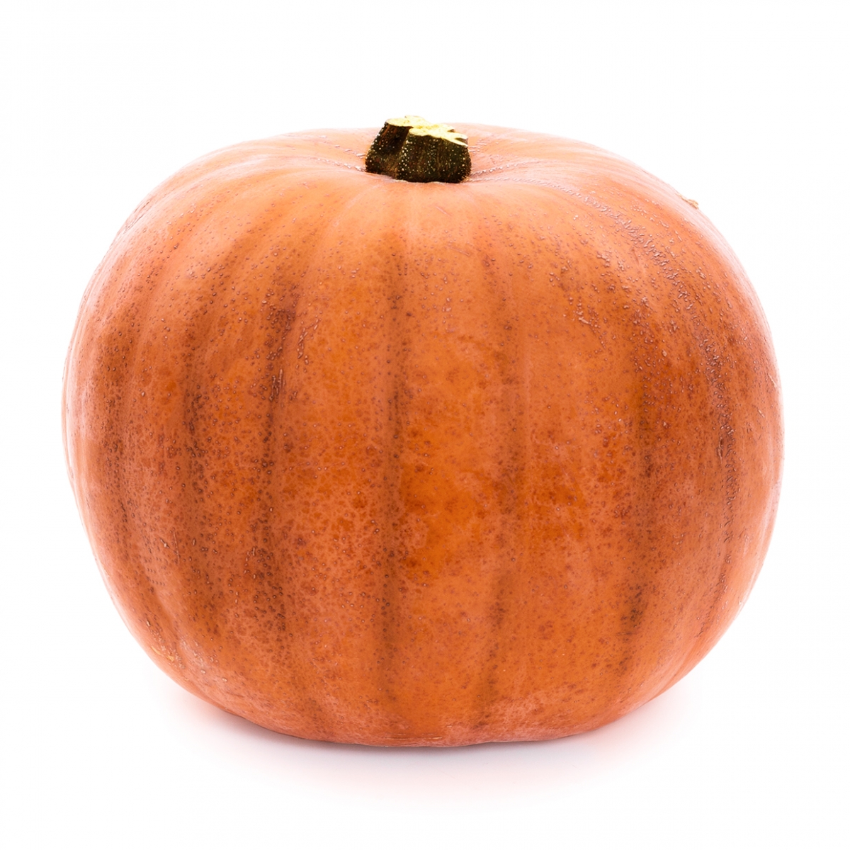 Imagen en la que se ve una calabaza