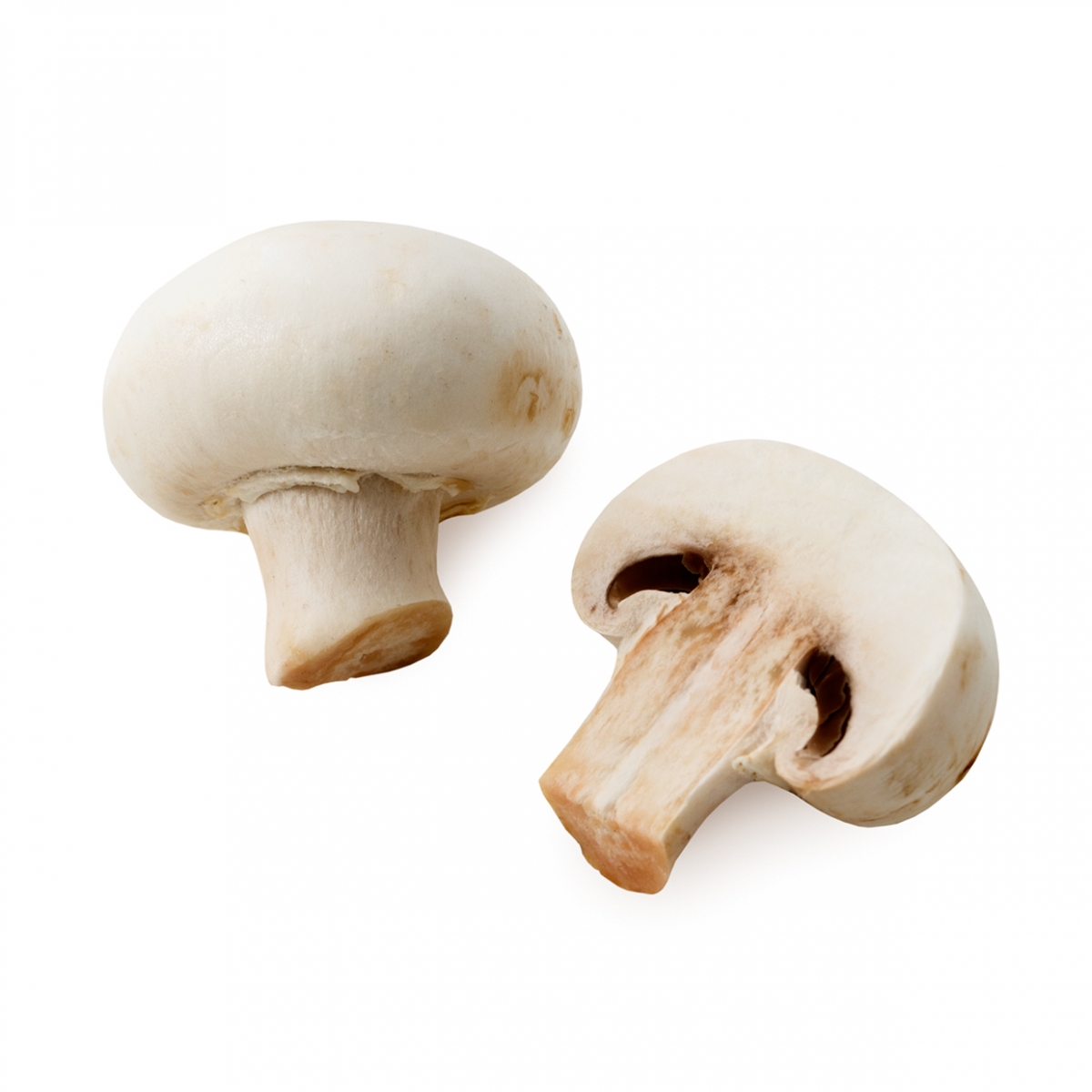 Imagen en la que se ven un par de champiñones