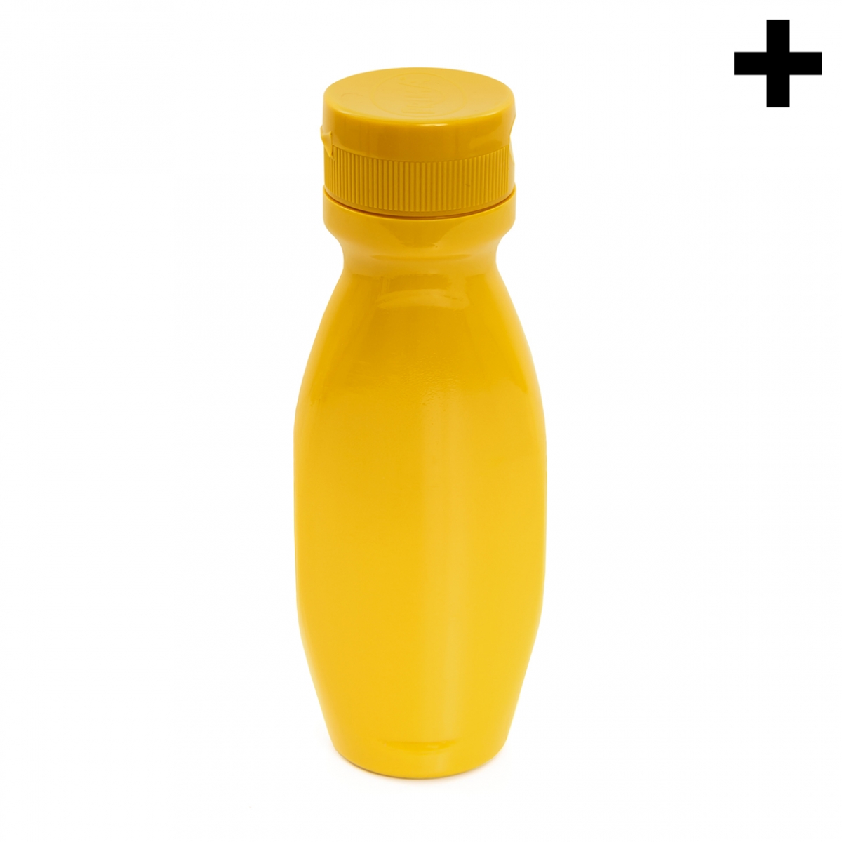 Imagen en la que se ve el plural del concepto bote de mostaza