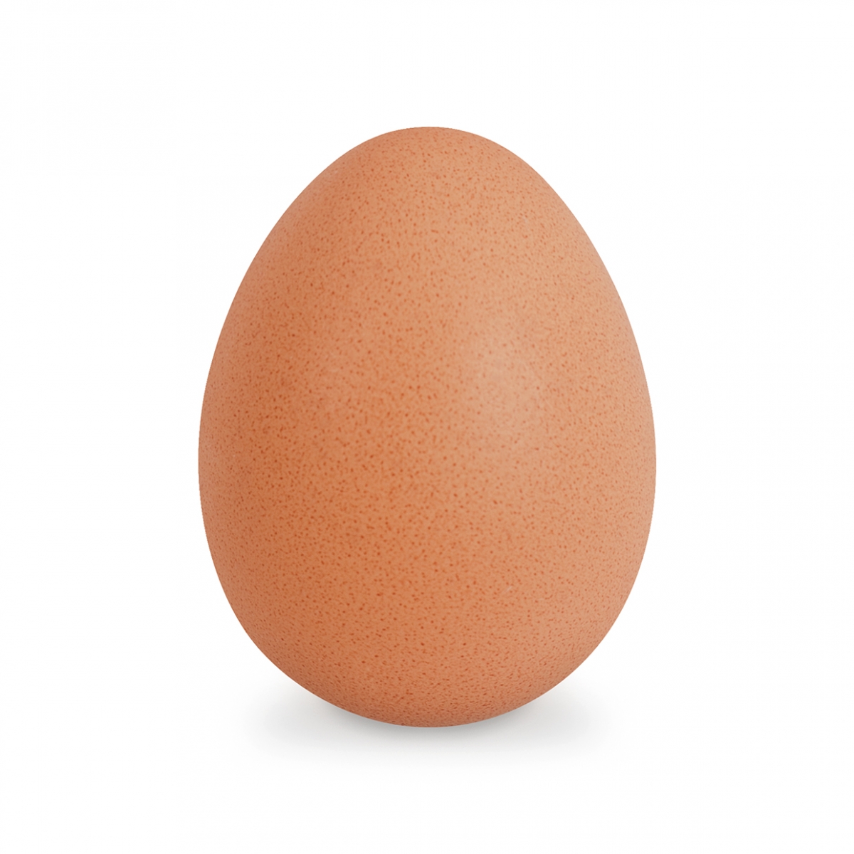 Imagen en la que se ve un huevo