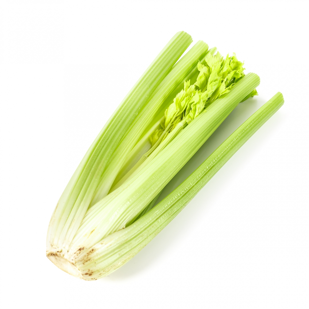 Imagen en la que se ve un apio