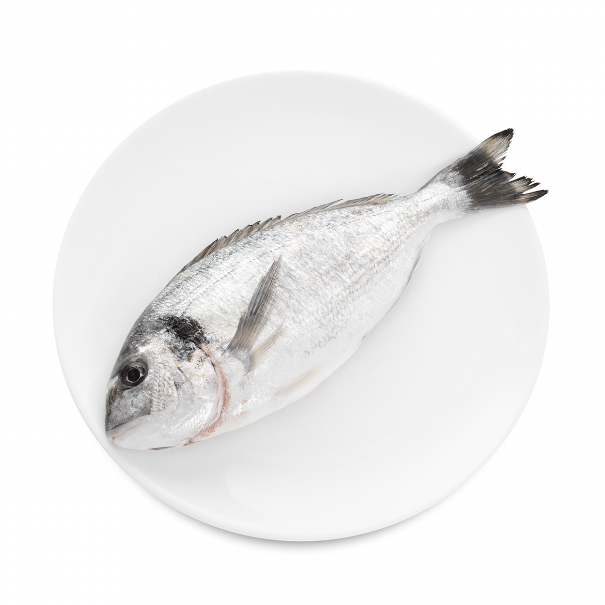 Imagen en la que se ve un plato con una dorada