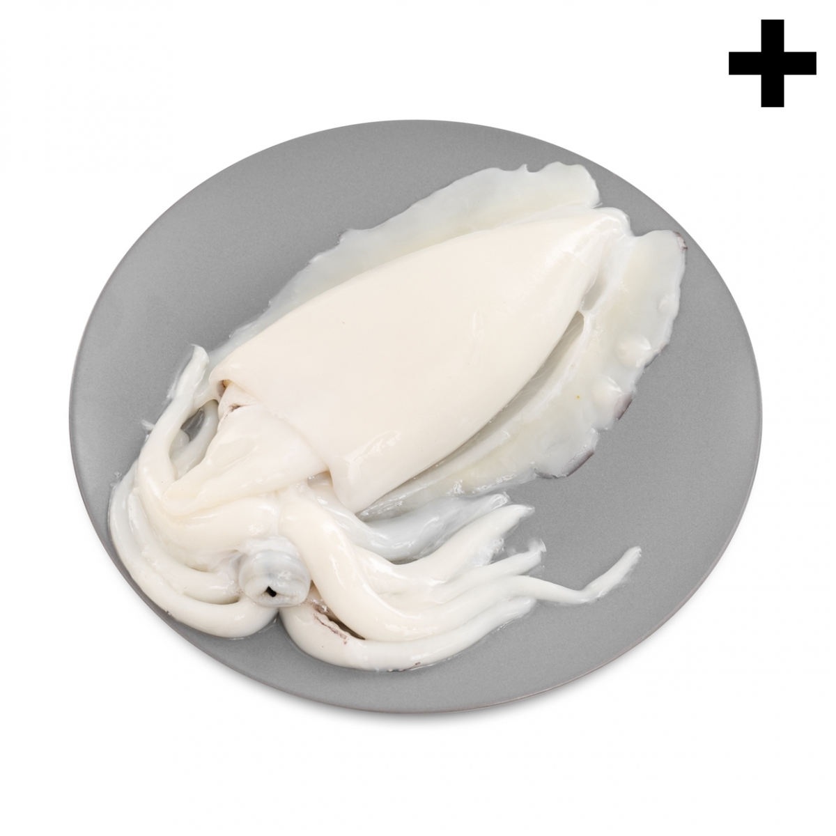 Imagen en la que se ve el plural del concepto sepia