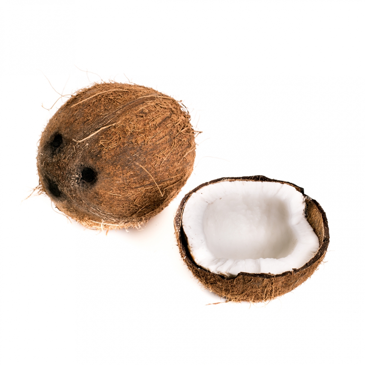 Imagen en la que se ve un coco