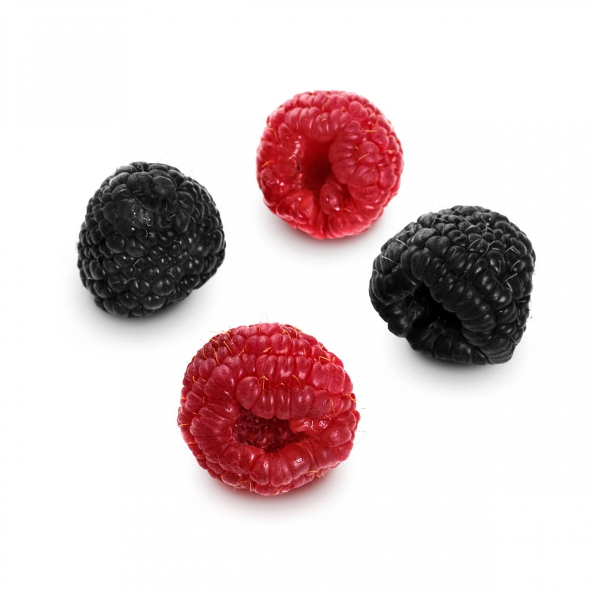 Imagen en la que se ven cuatro moras, dos rojas y dos negras