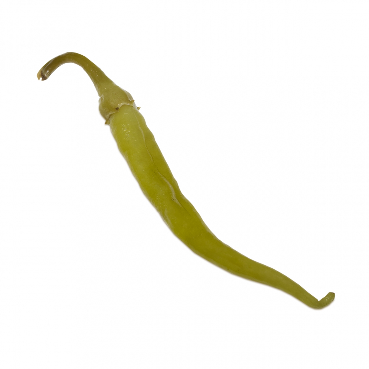 Imagen en la que se ve una guindilla