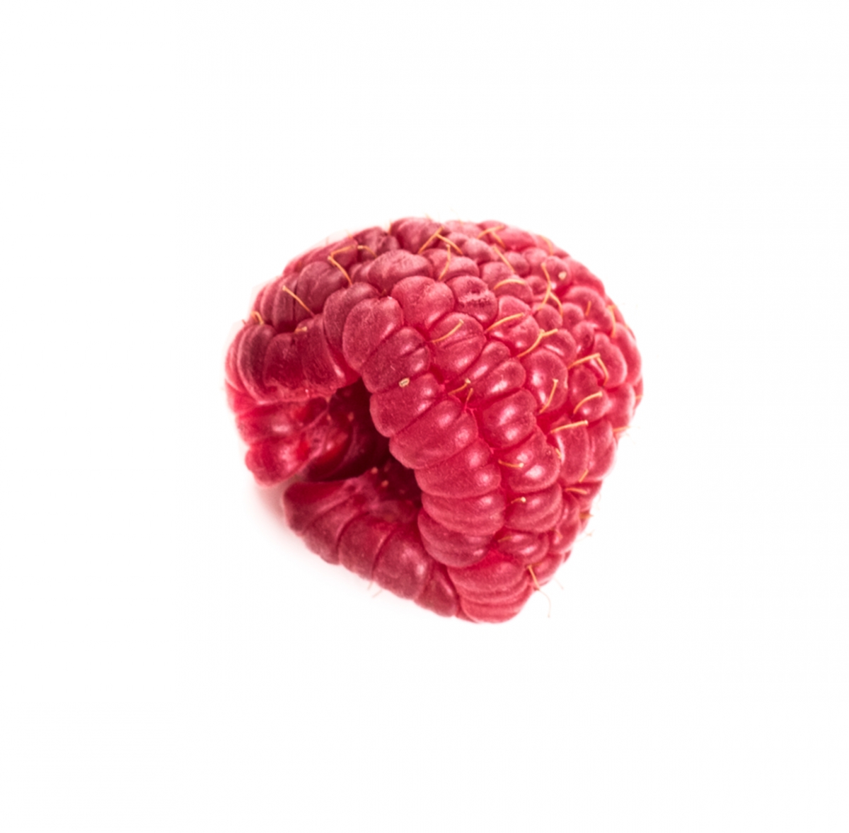 Imagen en la que se ve una frambuesa