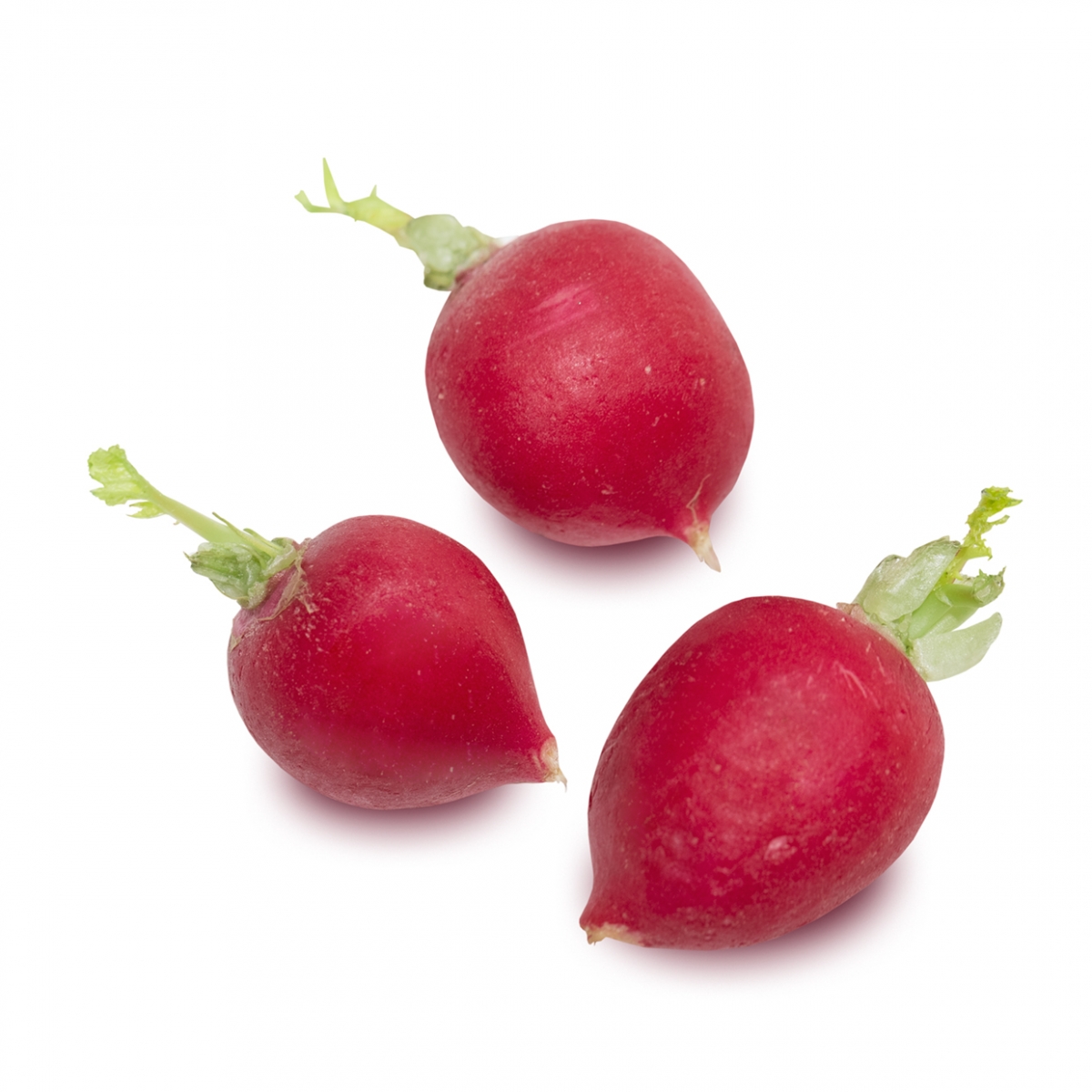 Imagen en la que se ven unos rabanitos