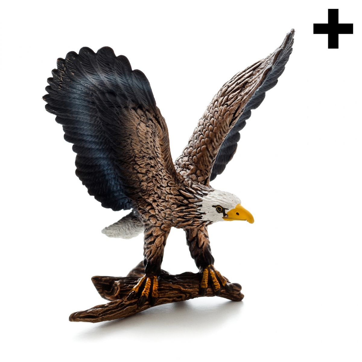 Imagen en la que se ve un águila posada sobre una rama