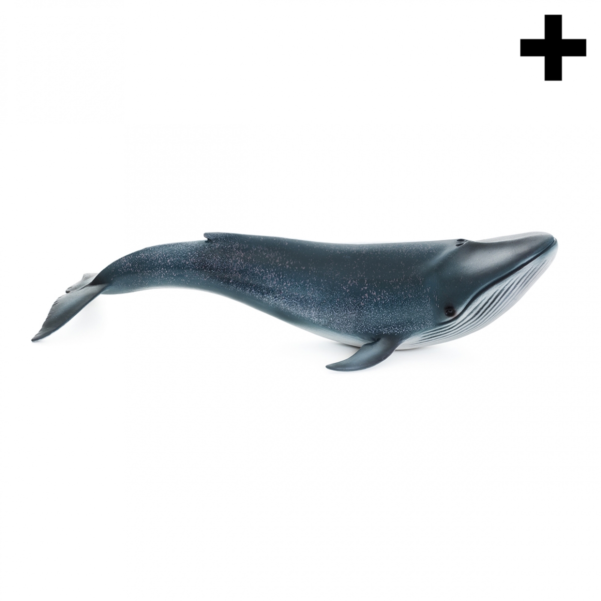 Imagen de una ballena