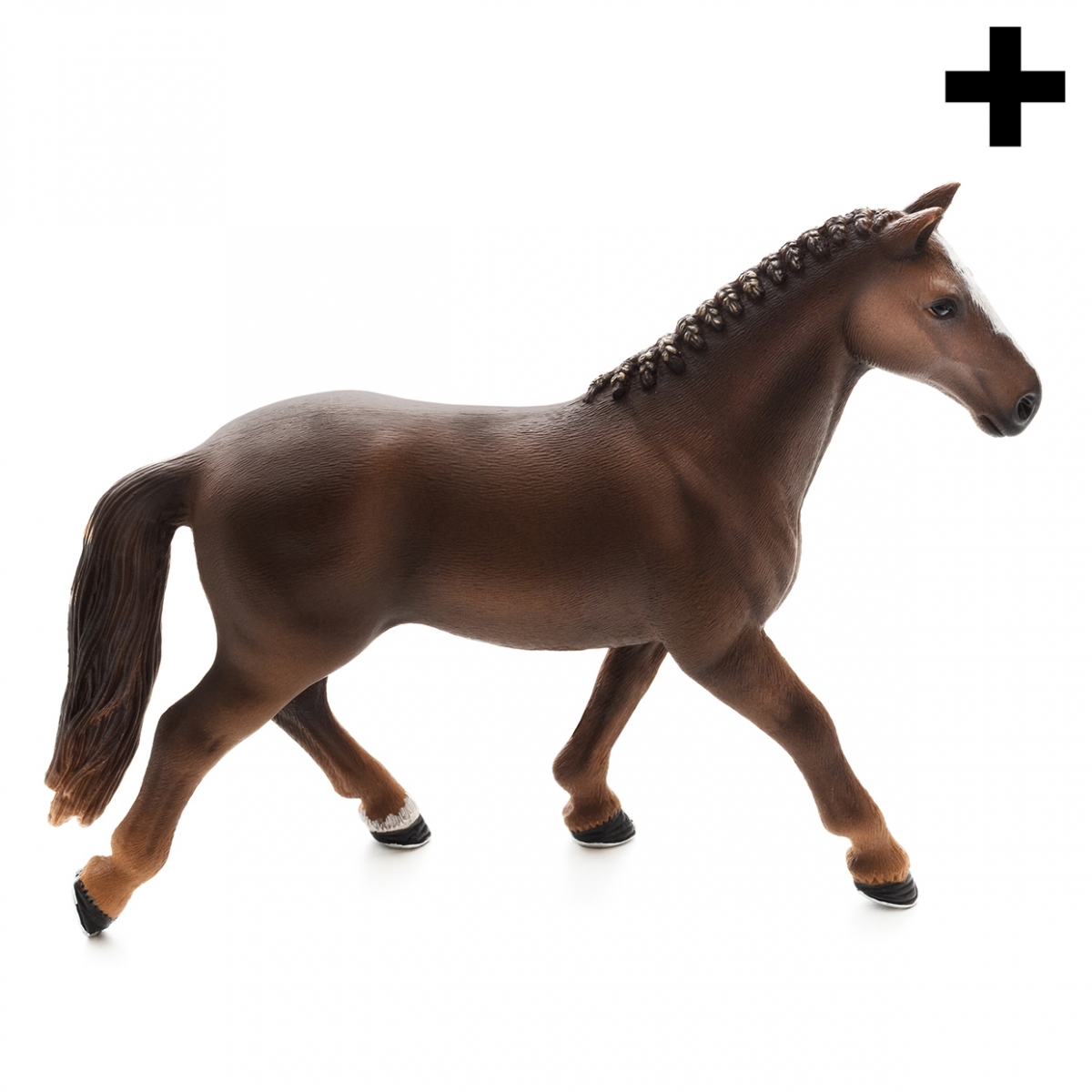 Imagen en la que se ve un caballo de perfil