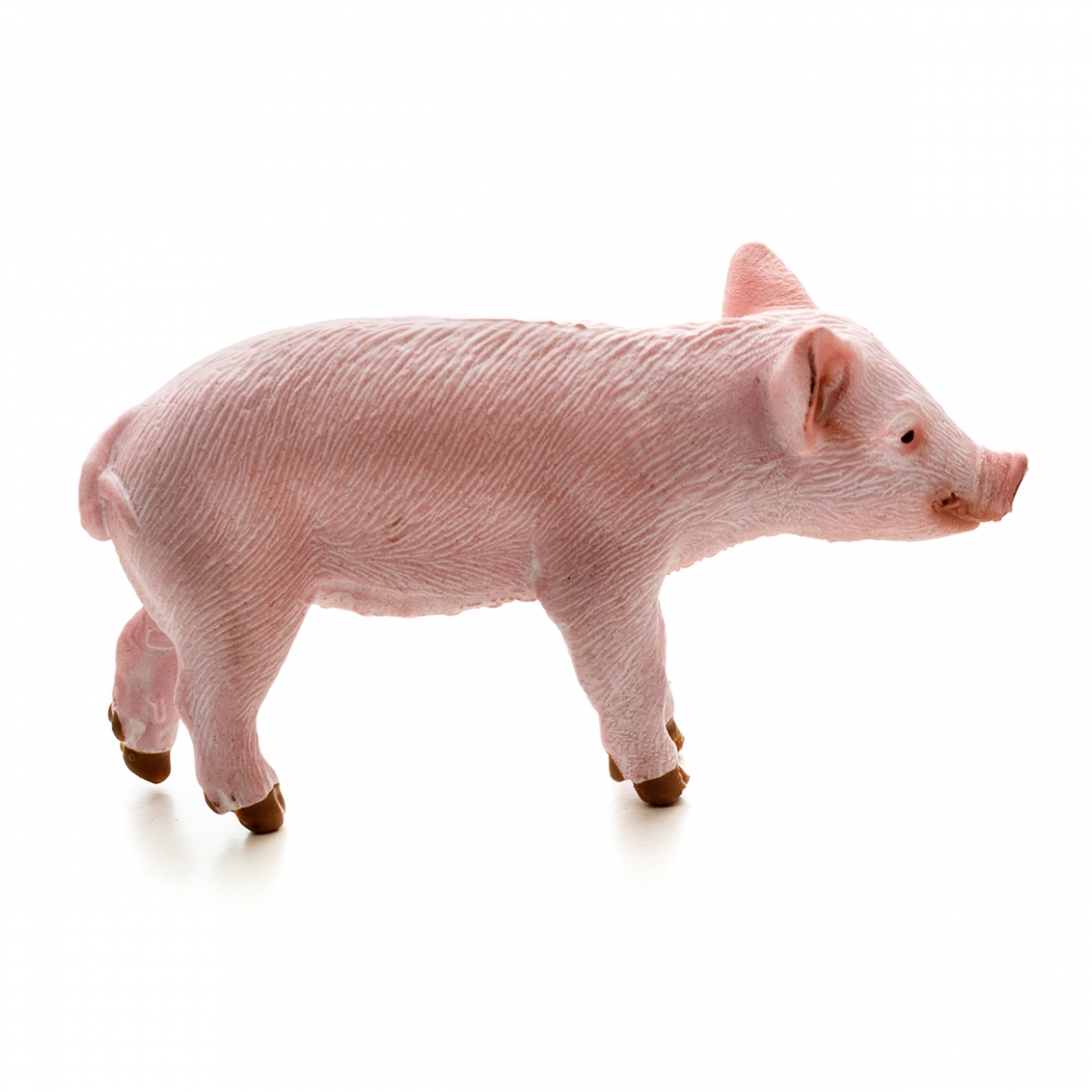 Imagen en la que se un cerdo en perspectiva lateral