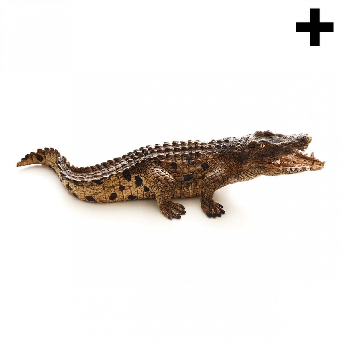 Imagen de un cocodrilo en vista lateral