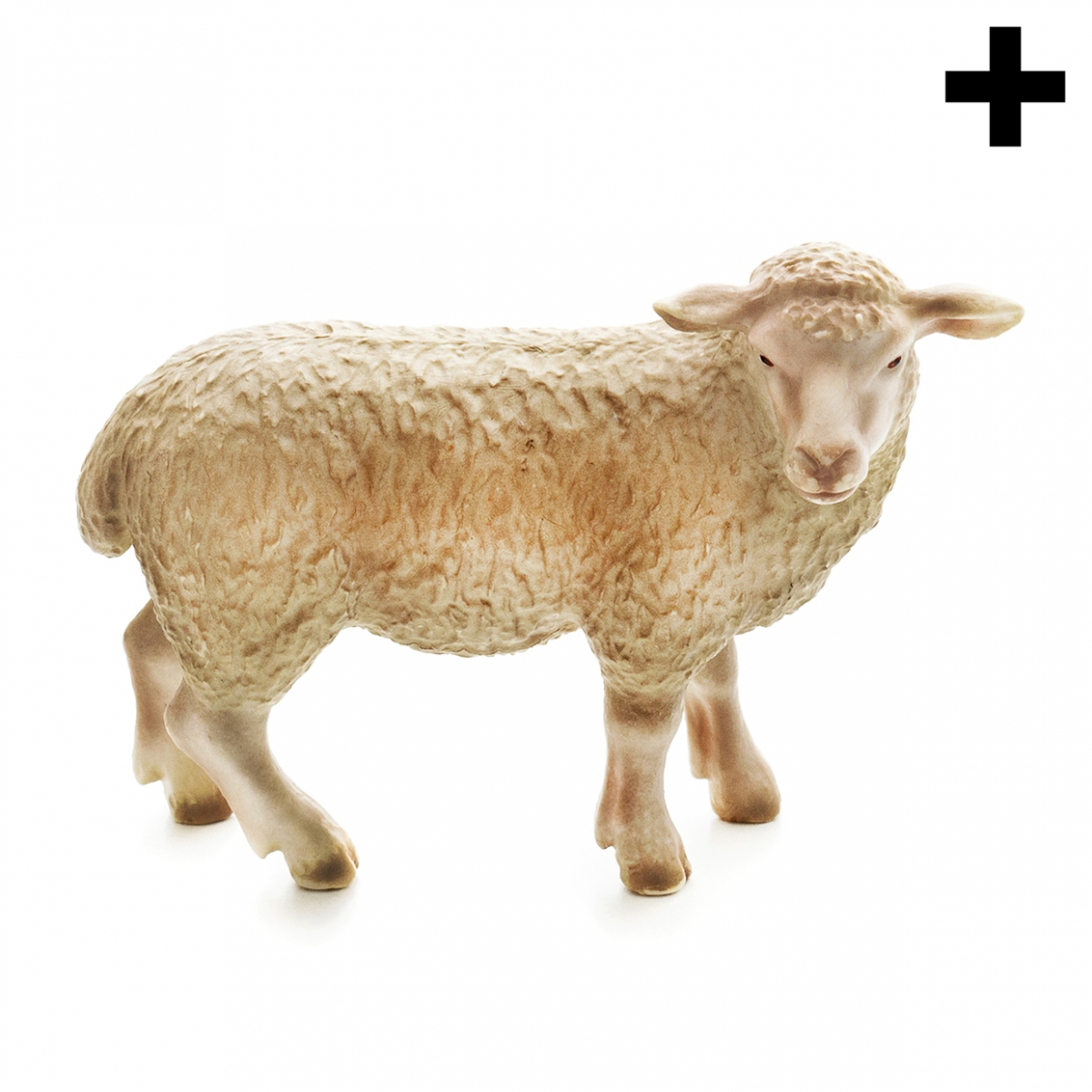 Imagen en la que se ve una oveja en perspectiva lateral