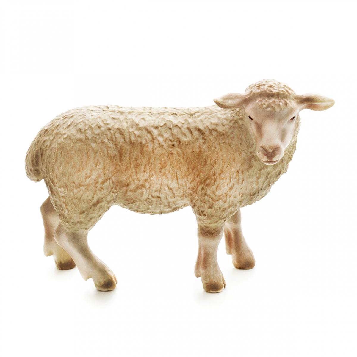 Imagen en la que se ve una oveja en perspectiva lateral