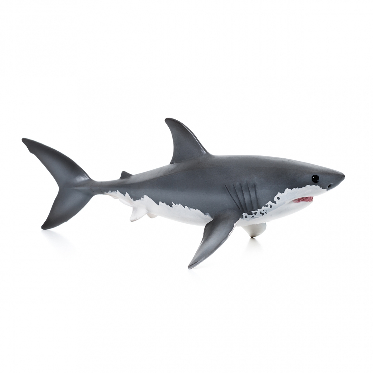 Imagen en la que se un tiburón en perspectiva lateral