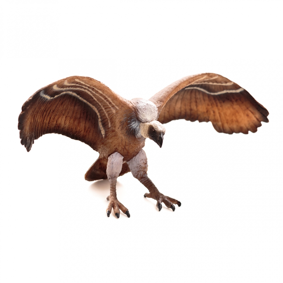 Imagen en la que se ve un buitre