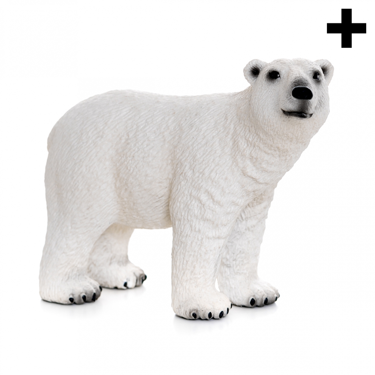 Imagen en la que se ve el plural del concepto oso polar