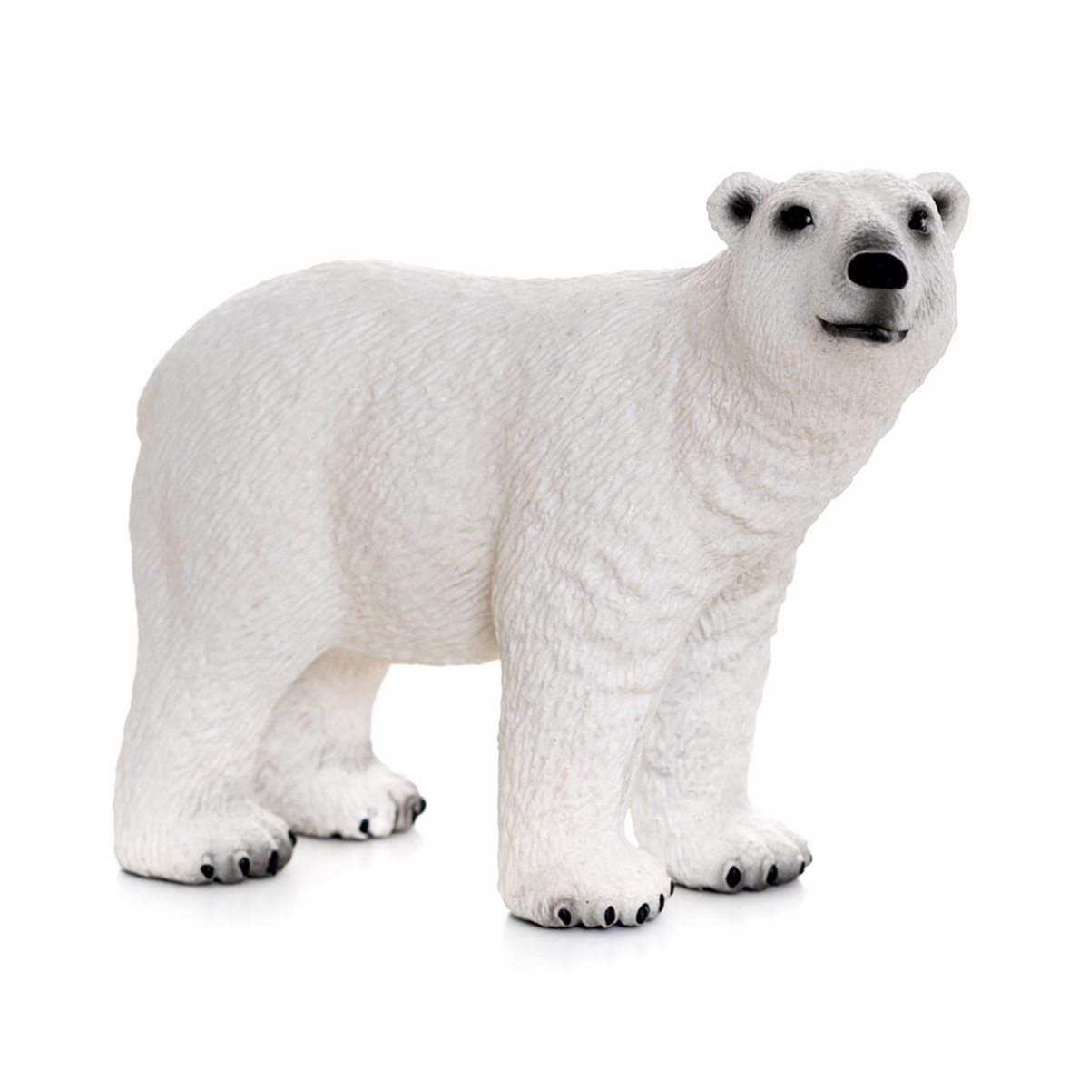 Imagen de un oso polar