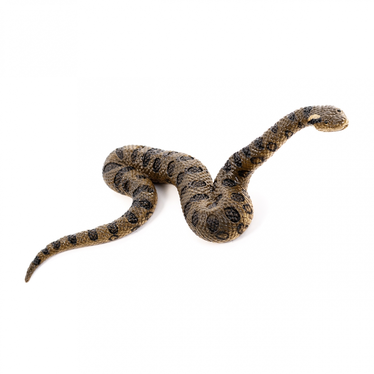 Imagen en la que se ve una serpiente