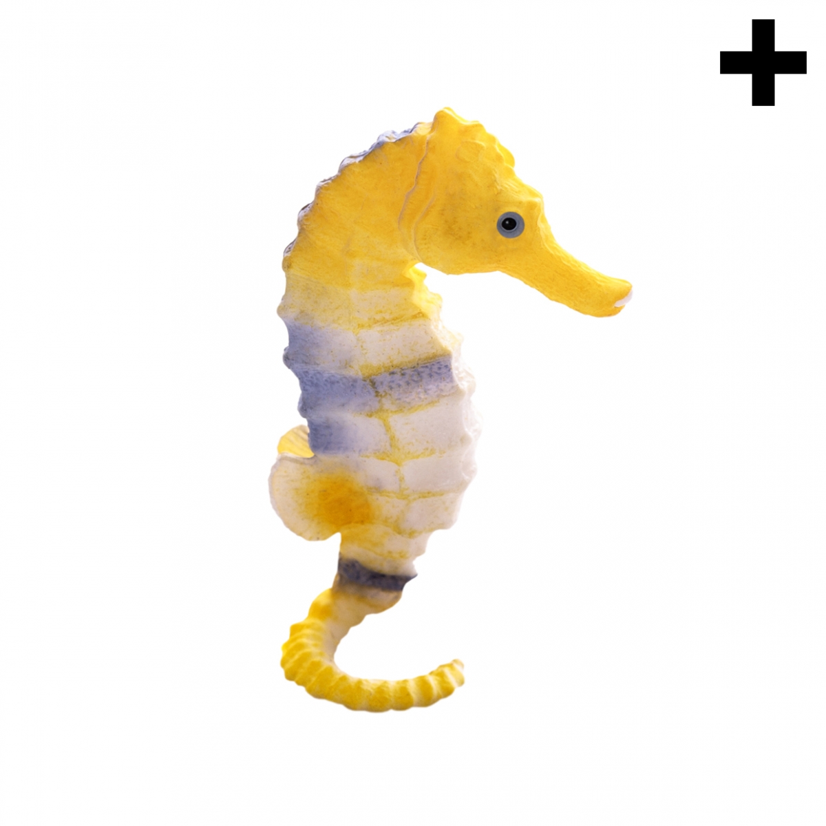 Imagen en la que se ve el plural del concepto caballito de mar