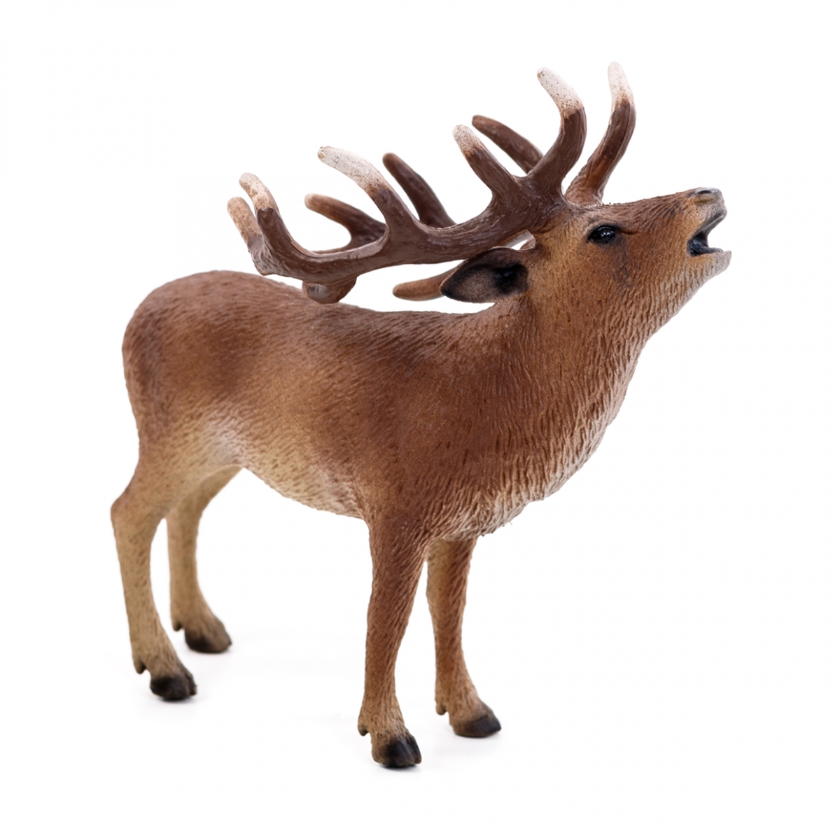 Imagen en la que se ve un ciervo