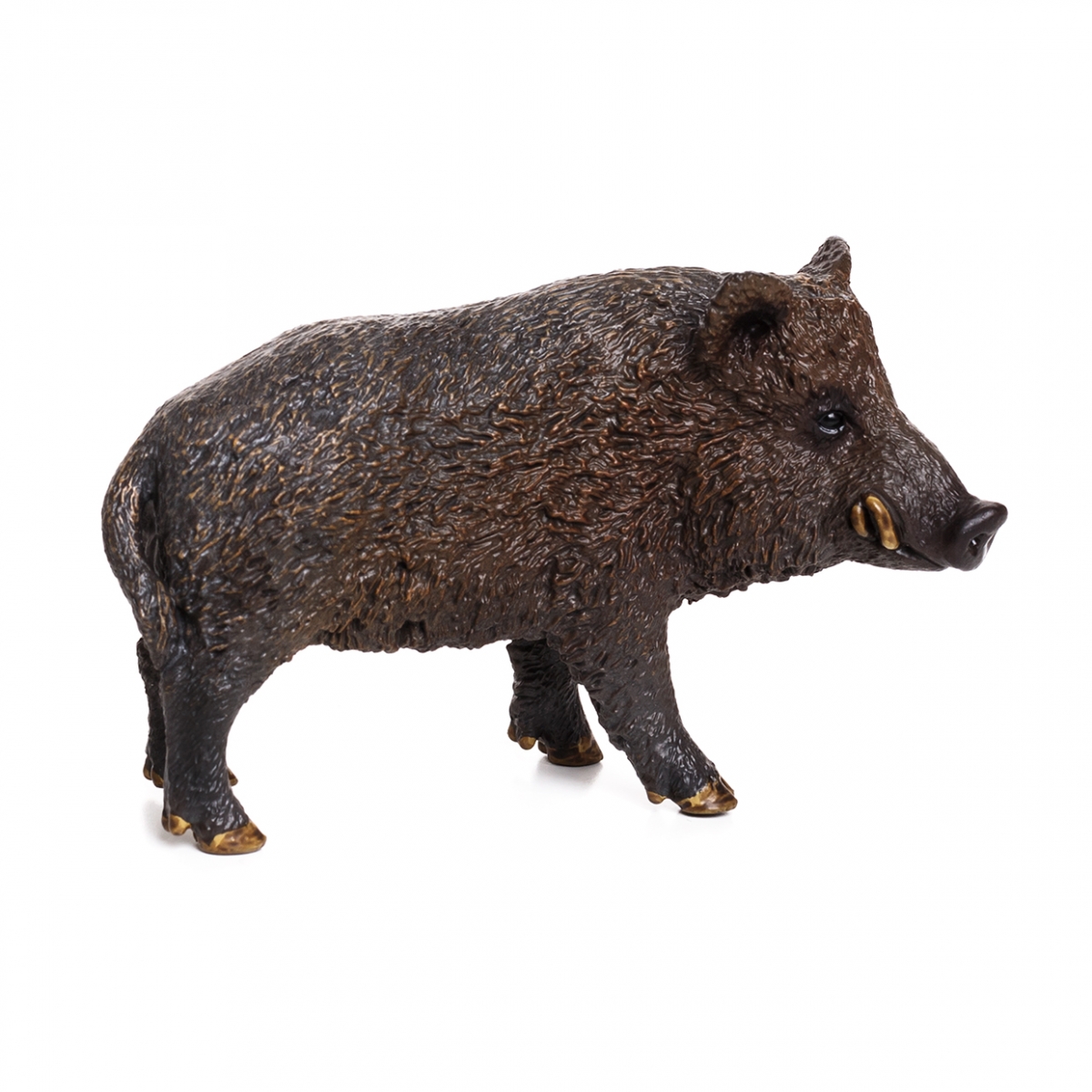 Imagen de un jabalí