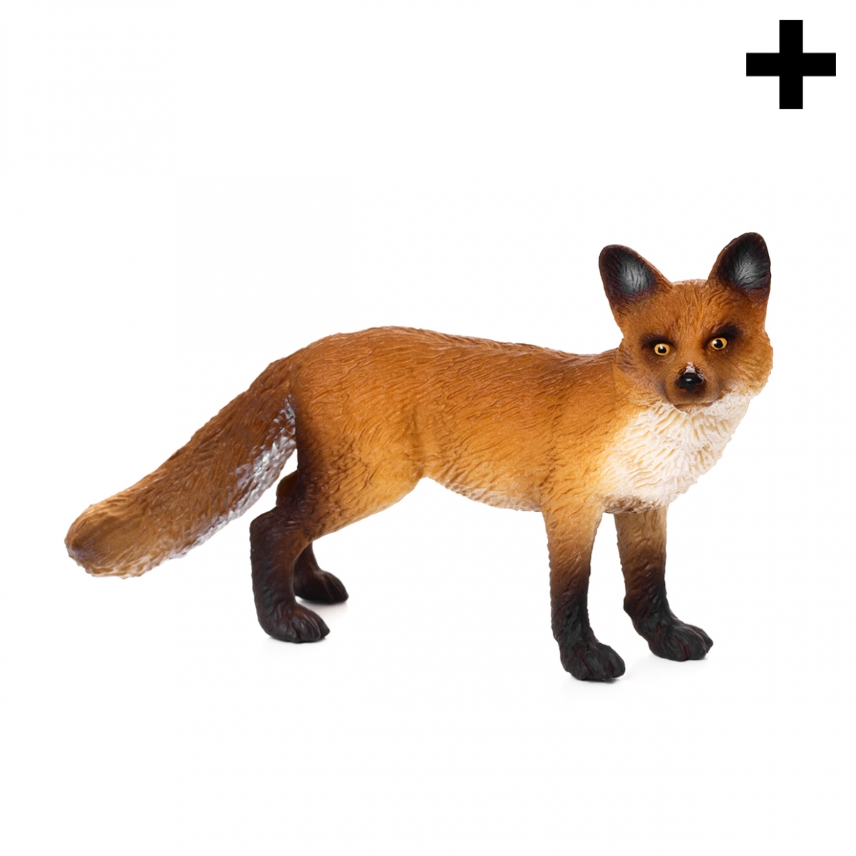 Imagen en la que se ve el plural del concepto zorro