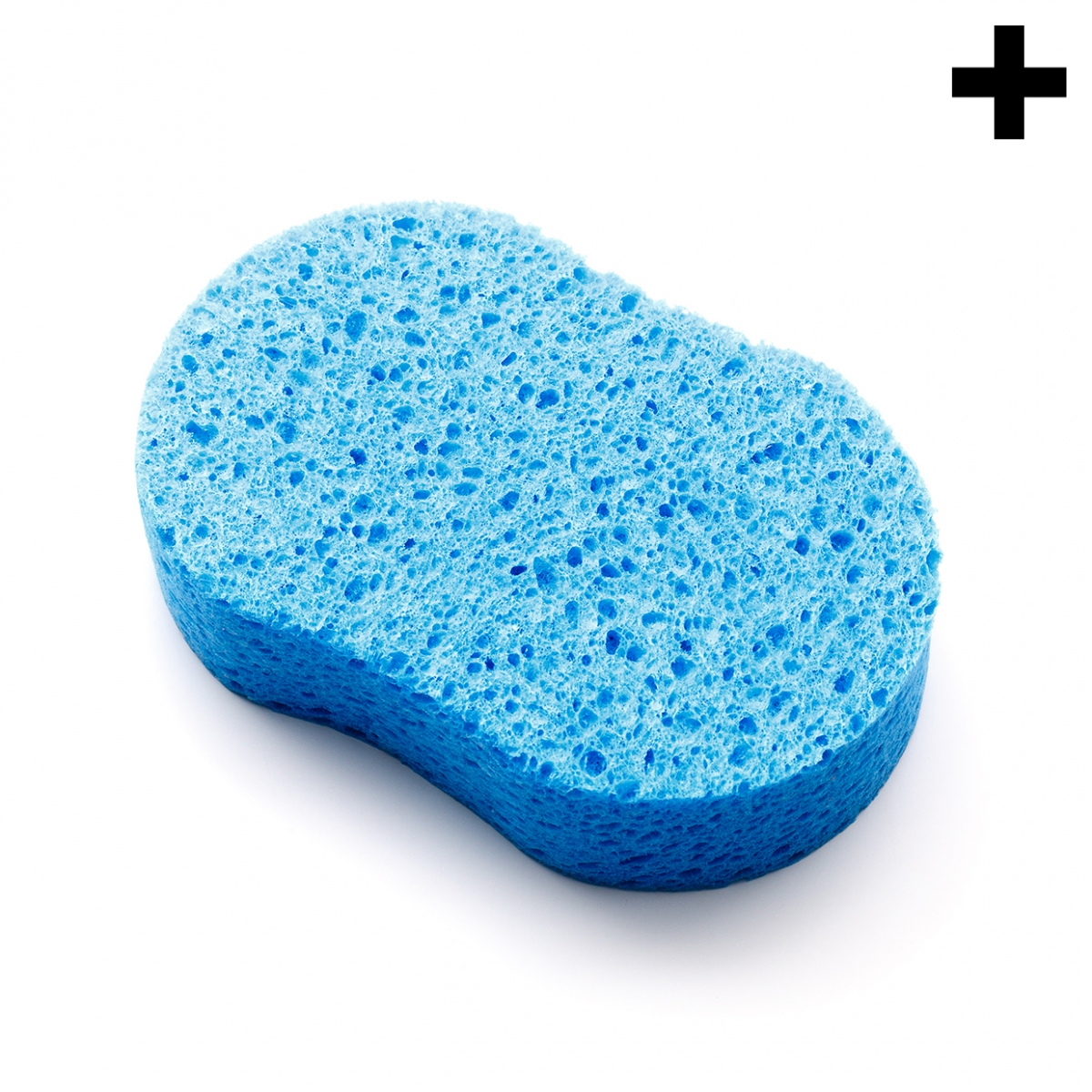 Imagen en la que se ve el plural del concepto esponja