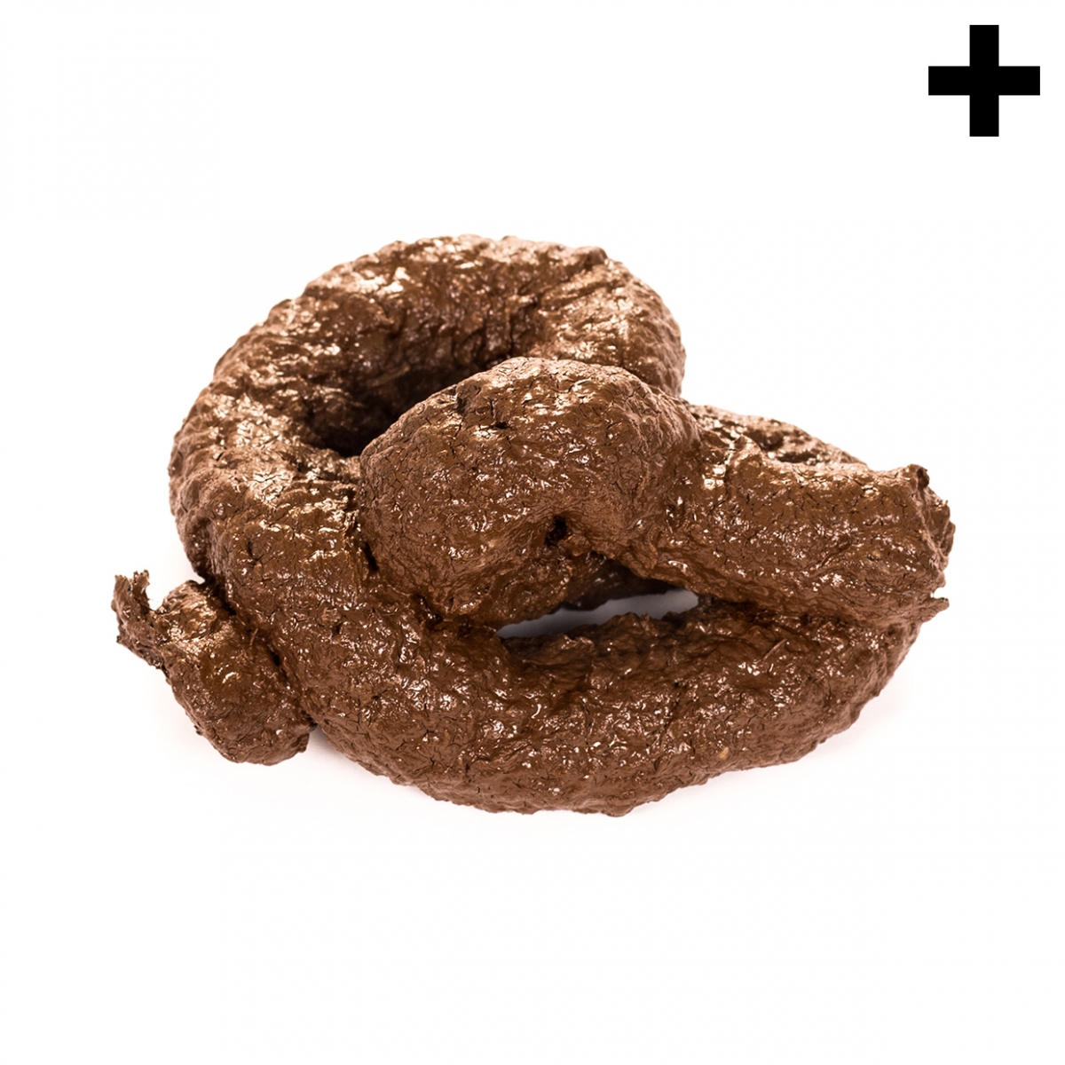 Imagen en la que se ve el plural del concepto excremento