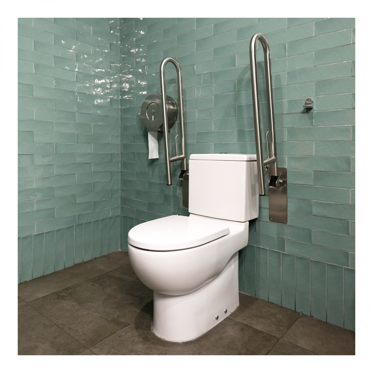 Imagen en la que se ve un aseo adaptado