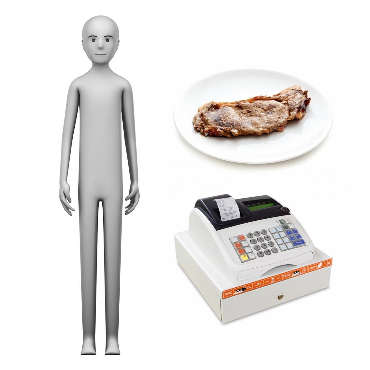 Imagen en la que se ve el concepto de carnicero o carnicera