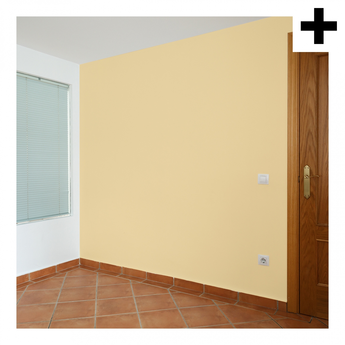 Imagen en la que se ve el plural del concepto pared