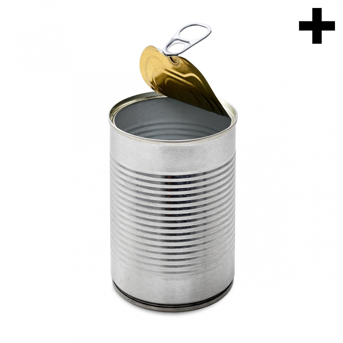 Imagen en la que se ve el plural del concepto bote metálico