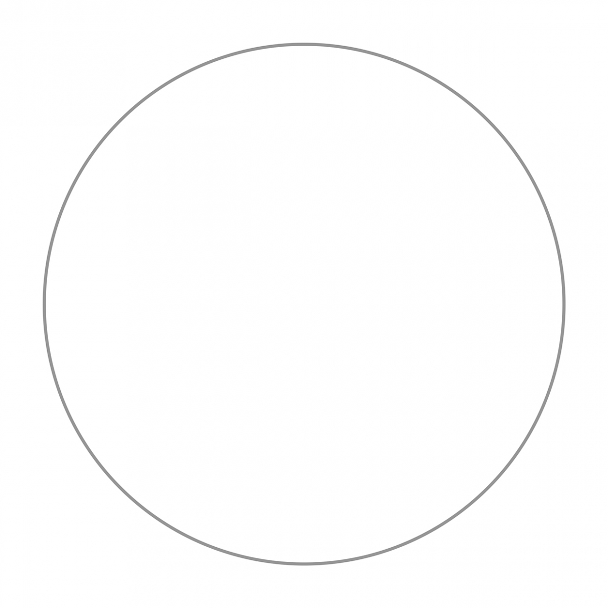 Imagen en la que se ve un círculo de color blanco