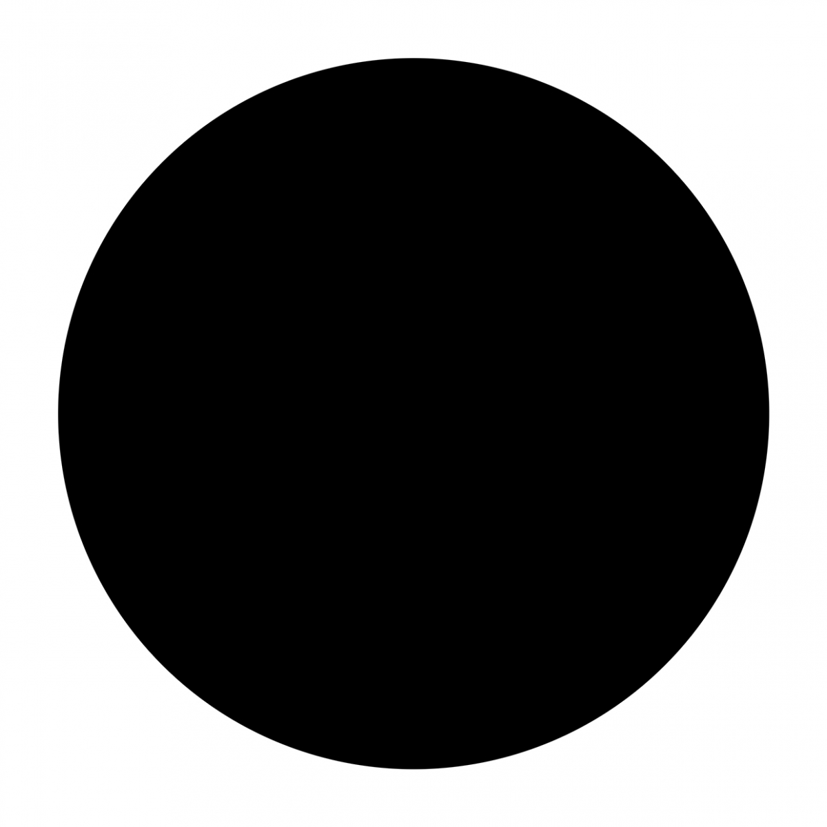 Imagen en la que se ve un círculo de color negro