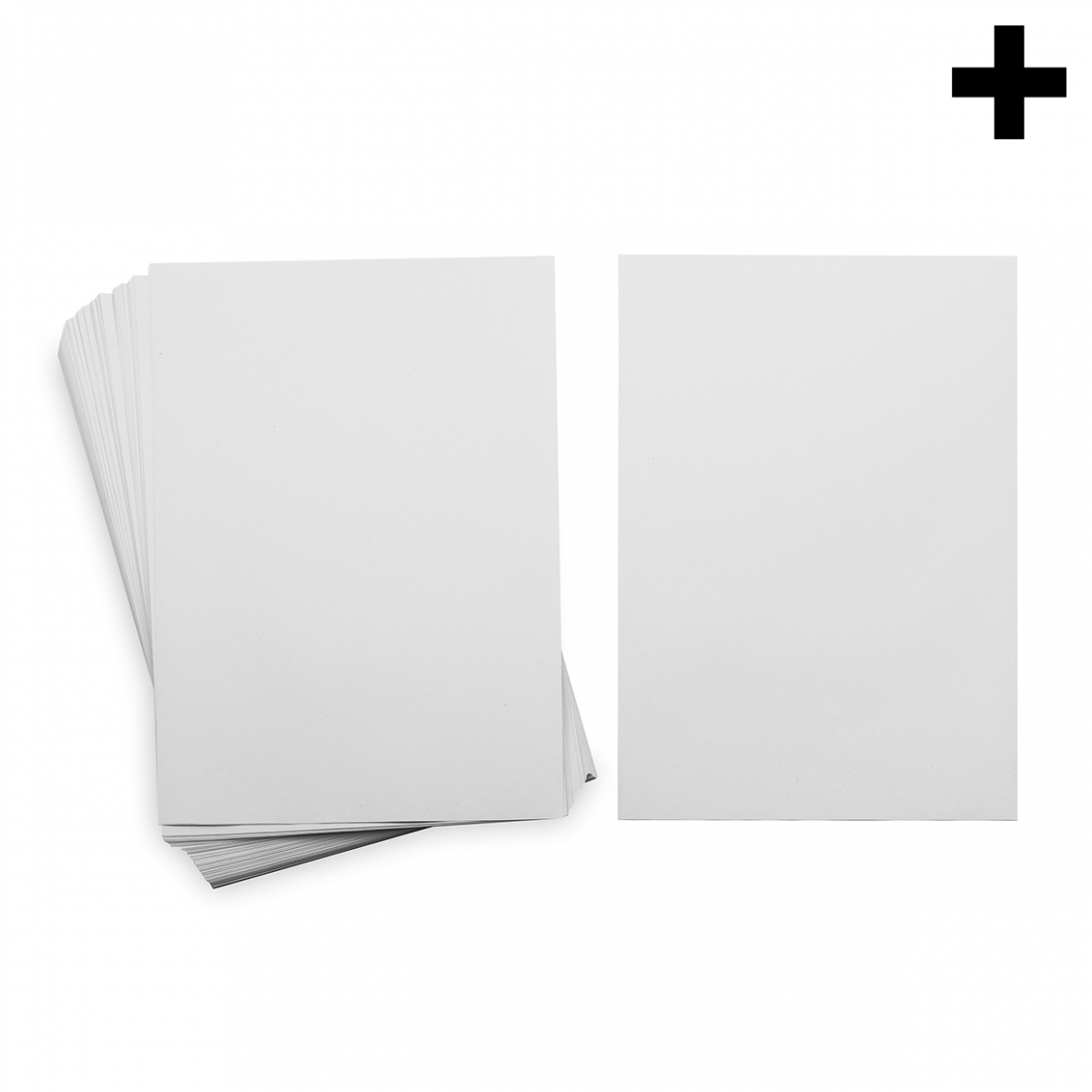 Imagen en la que se ve el plural del concepto folio