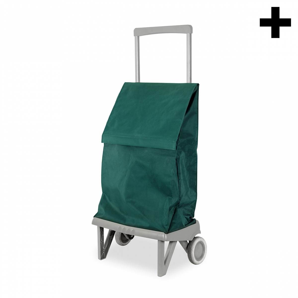 Imagen en la que se ve el plural del concepto carro de la compra