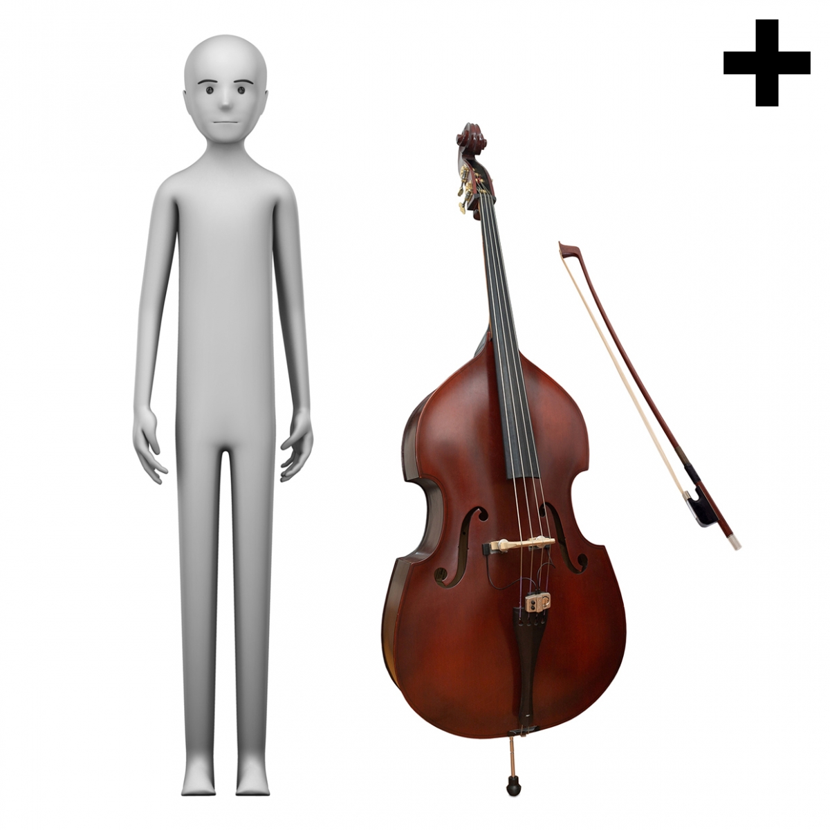 Imagen en la que se ve el plural del concepto contrabajista