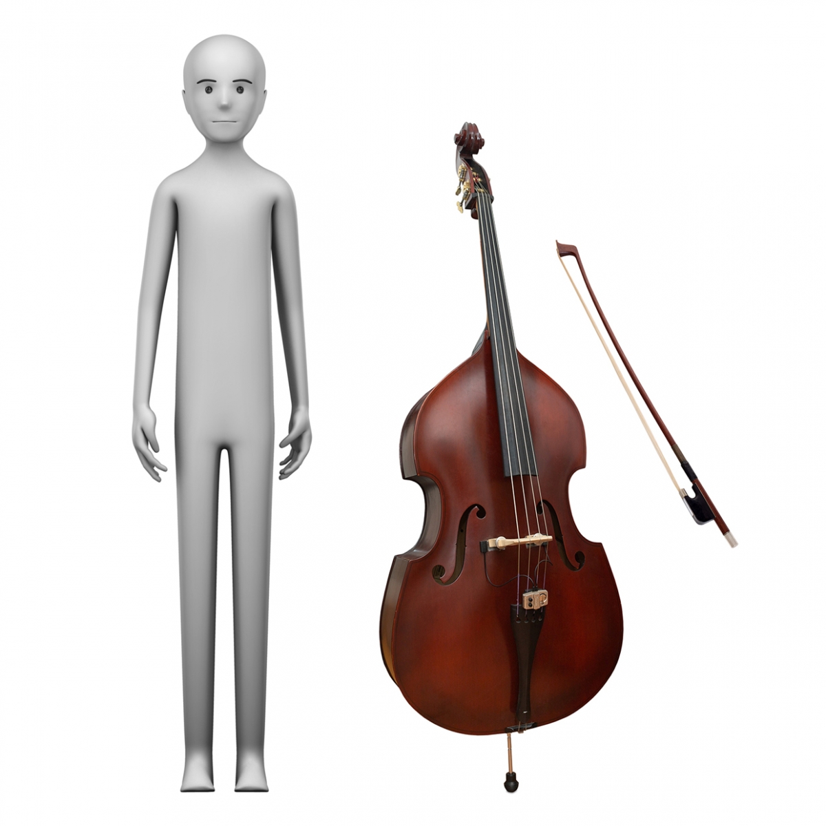 Imagen en la que se ve el concepto de profesión contrabajista