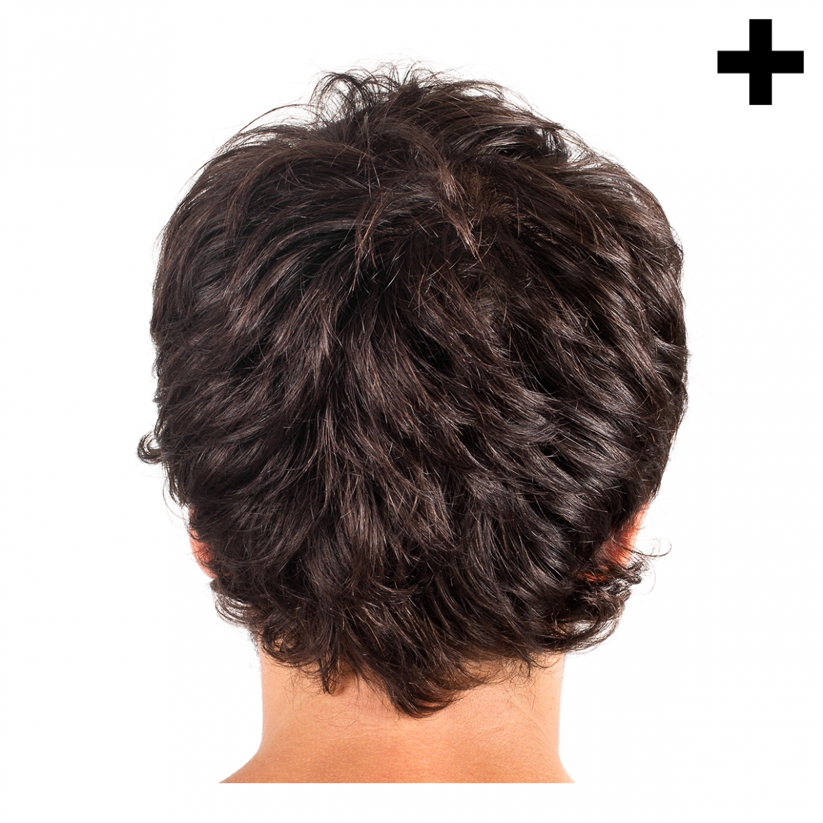 Imagen en la que se ve el plural del concepto pelo de chico