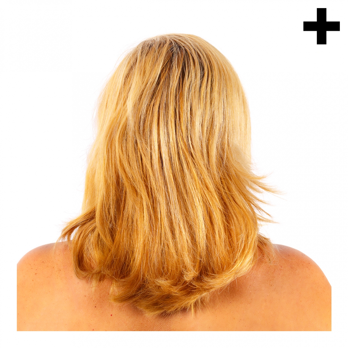 Imagen en la que se ve el plural del concepto pelo de chica