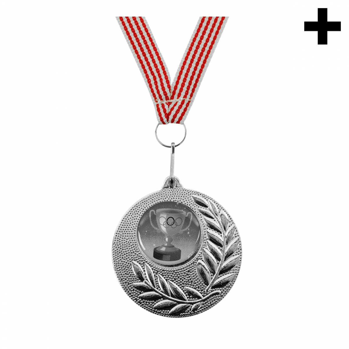 Imagen en la que se ve el plural del concepto medalla de plata